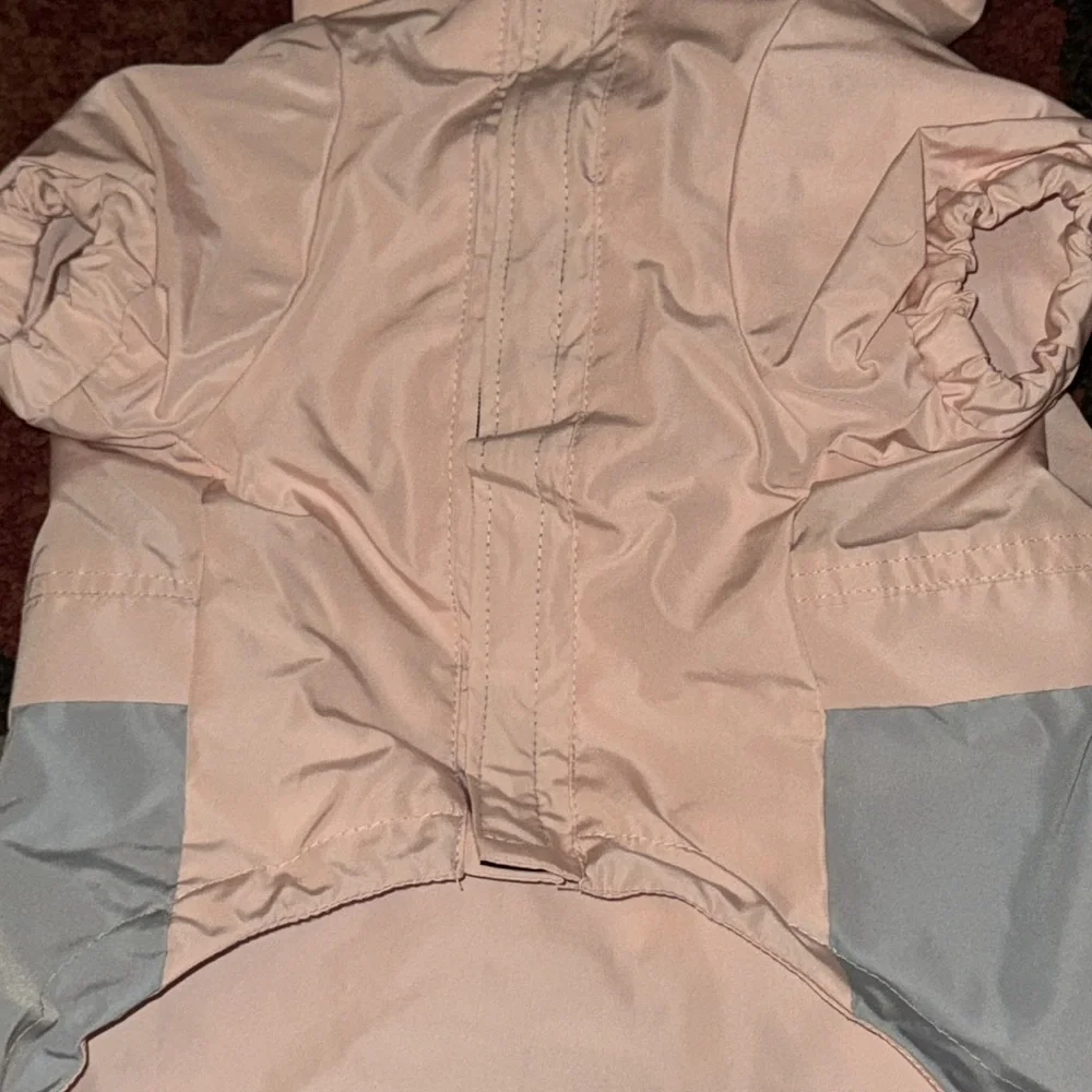 Reebok pink dog
